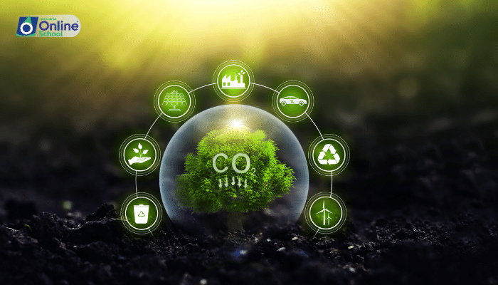 Lesson 06: The Sustenance of Plants: Intake of Carbon Dioxide and Water